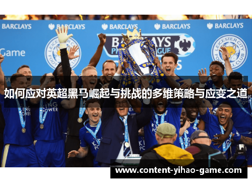如何应对英超黑马崛起与挑战的多维策略与应变之道