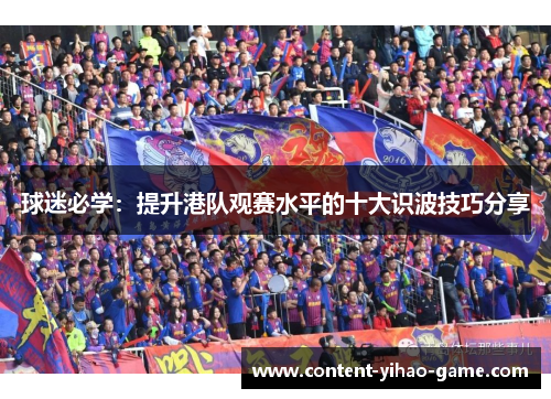 球迷必学：提升港队观赛水平的十大识波技巧分享