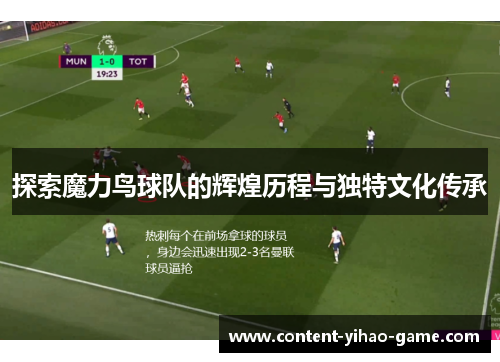 探索魔力鸟球队的辉煌历程与独特文化传承