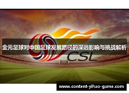 金元足球对中国足球发展路径的深远影响与挑战解析