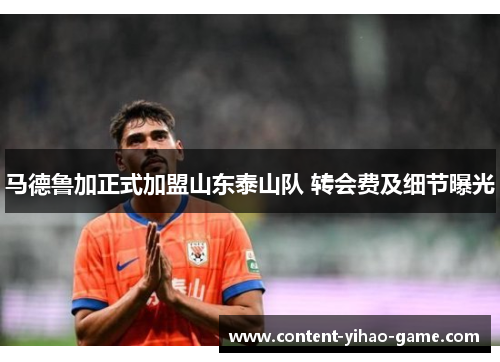 马德鲁加正式加盟山东泰山队 转会费及细节曝光