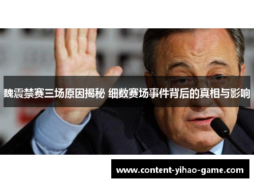 魏震禁赛三场原因揭秘 细数赛场事件背后的真相与影响