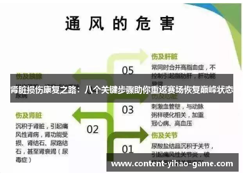 肾脏损伤康复之路：八个关键步骤助你重返赛场恢复巅峰状态